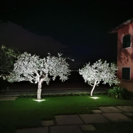 Appartamenti Miralago Pastrengo Esterno foto